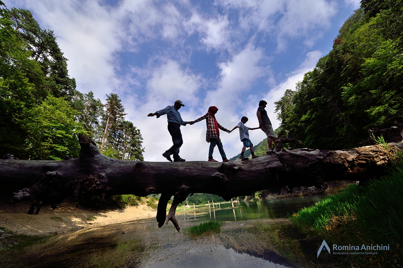 La mediazione familiare | AVVOCATO ANICHINI Famiglia nel bosco e mediazione familiare: quali confini? | AVVOCATO ANICHINI